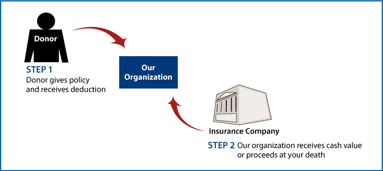 Life Insurance Policy Thumbnail